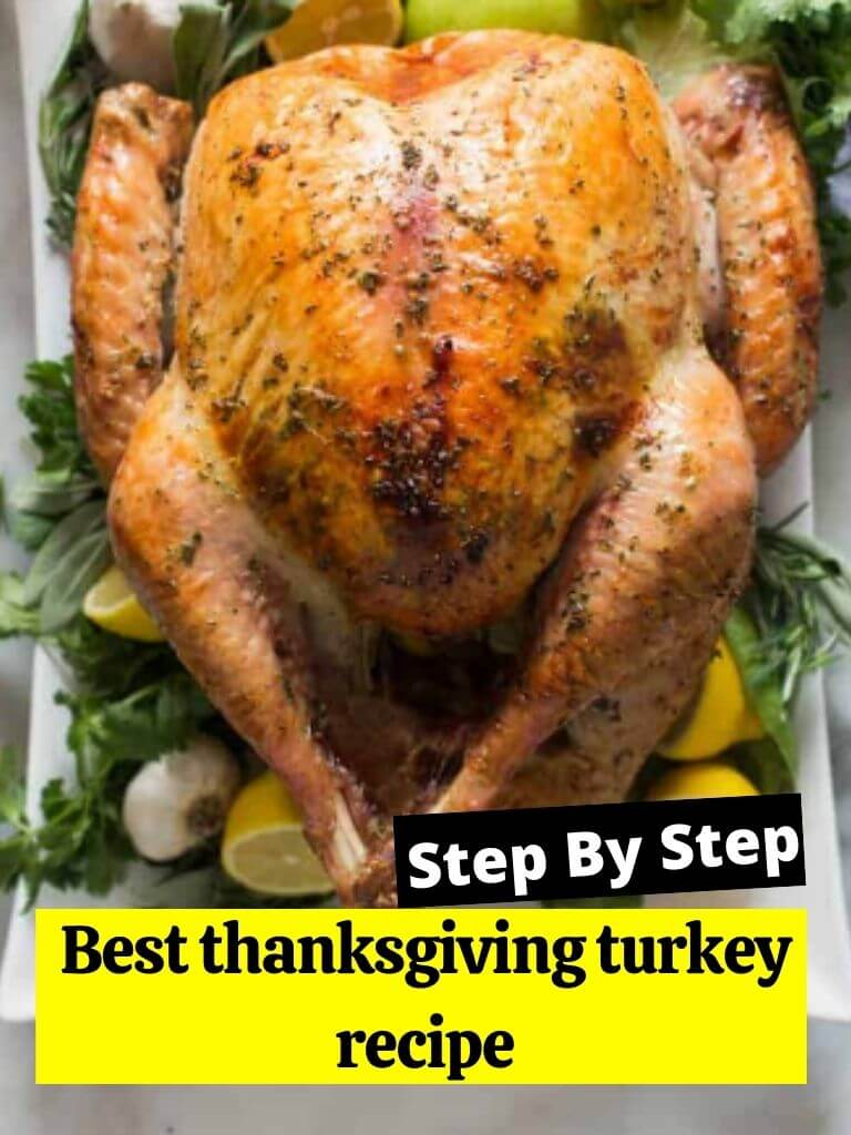 Best thanksgiving turkey recipe